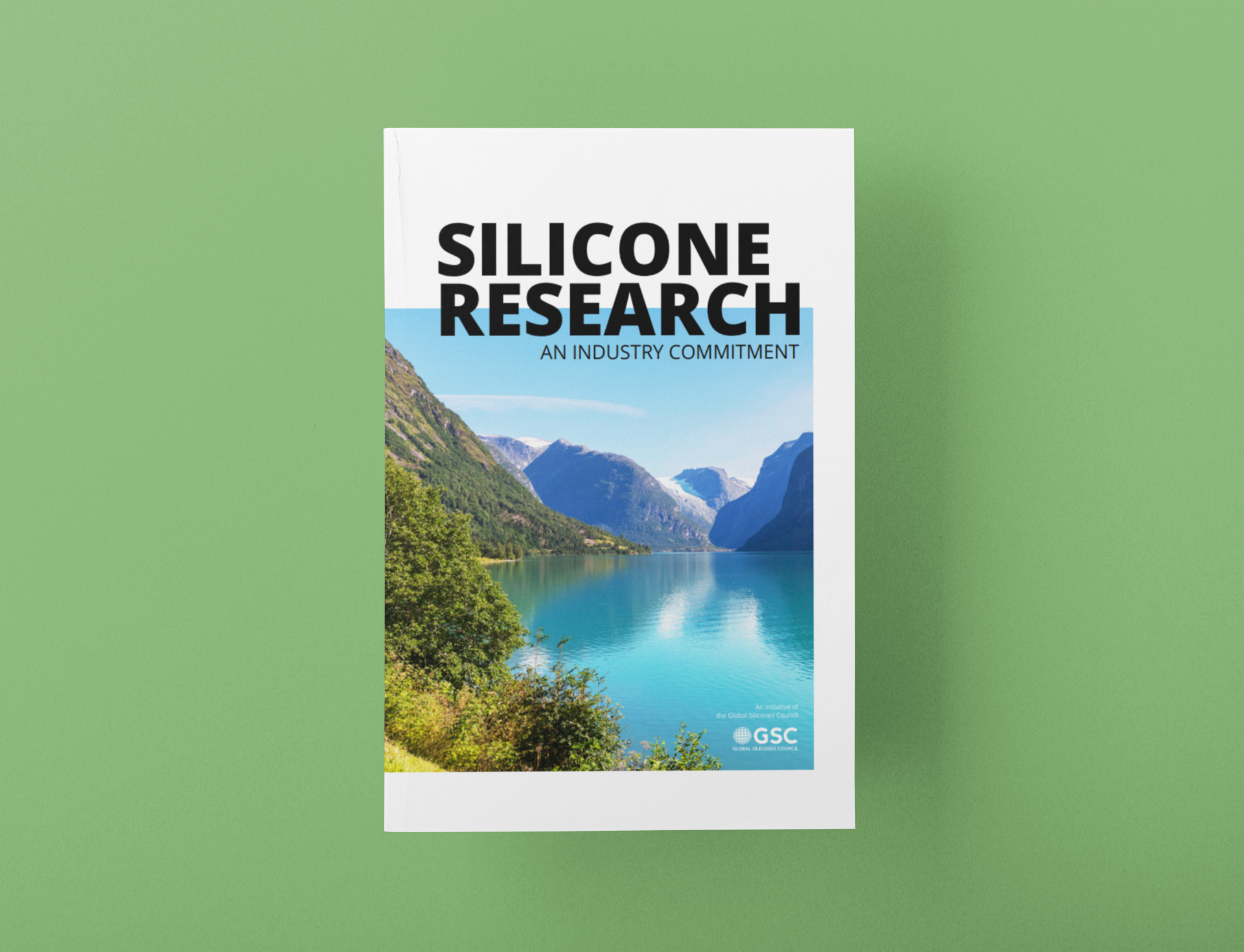 What Are Silicones? - Global Silicones Council